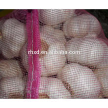 Shangdong 10 kg / cartón ajos blancos puros a la venta